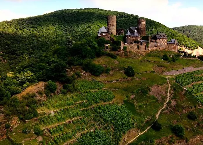 Apartment Moselcharme